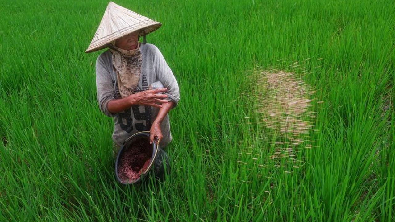 Jauhnya Perjalanan 5 Jam, Anggota DPR Serap Aspirasi Petani Cianjur di Pelosok, Beri Bantuan Alsintan