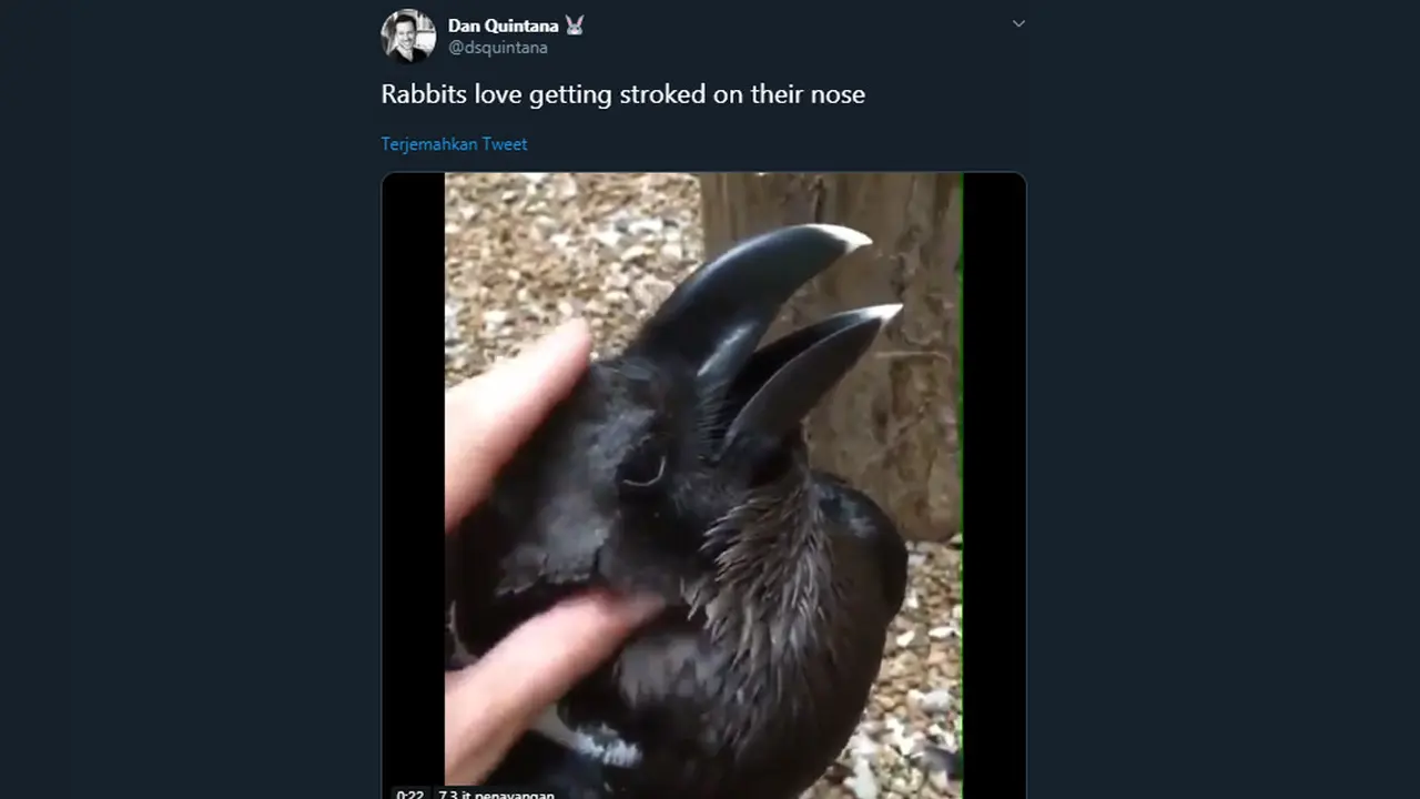 Kelinci atau Burung Gagak?