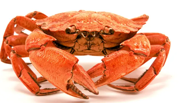 Foto: copyright thinkstockphotos.com