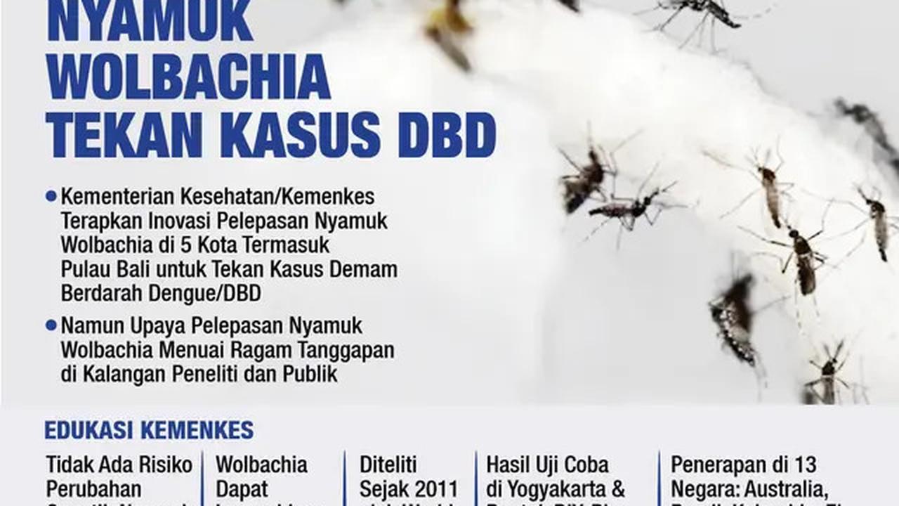 Seperti Apa Kondisi Bumi Jika Tak Ada Nyamuk?