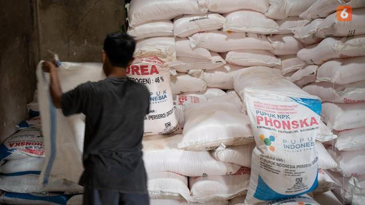 Pupuk bersubsidi di Kabupaten Ciamis. foto. Istimewa (Arfandi Ibrahim/Liputan6.com)