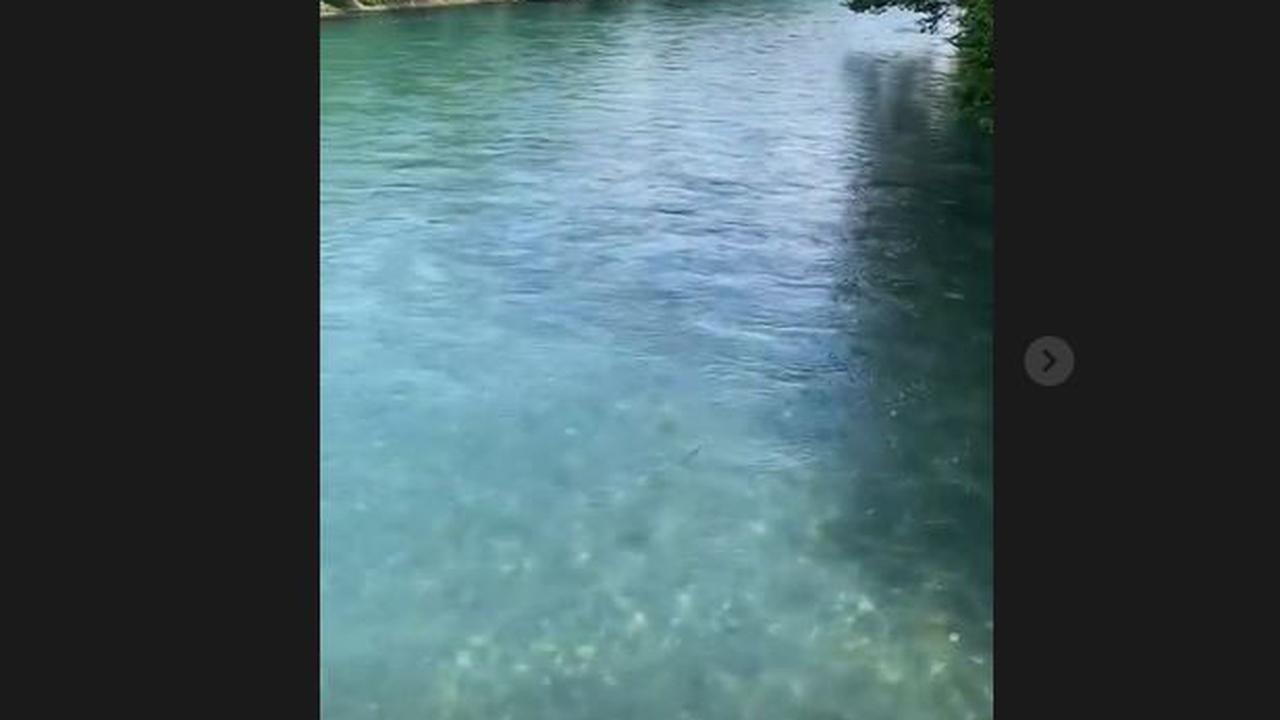 Atalia Praratya Unggah Video Lokasi TKP Hilangnya Eril di Sungai Aare Swiss: Deet Pisan