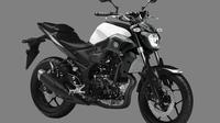 Setelah harga jualnya muncul kepermukaan, pilihan warna saudara dari YZF-R25 juga terungkap.