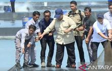 Presiden Prabowo Tinjau Panen Raya Udang Kebumen, Dorong Peningkatan Devisa Negara
