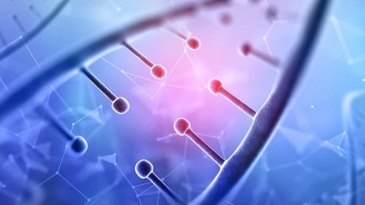 Sumber: freepik