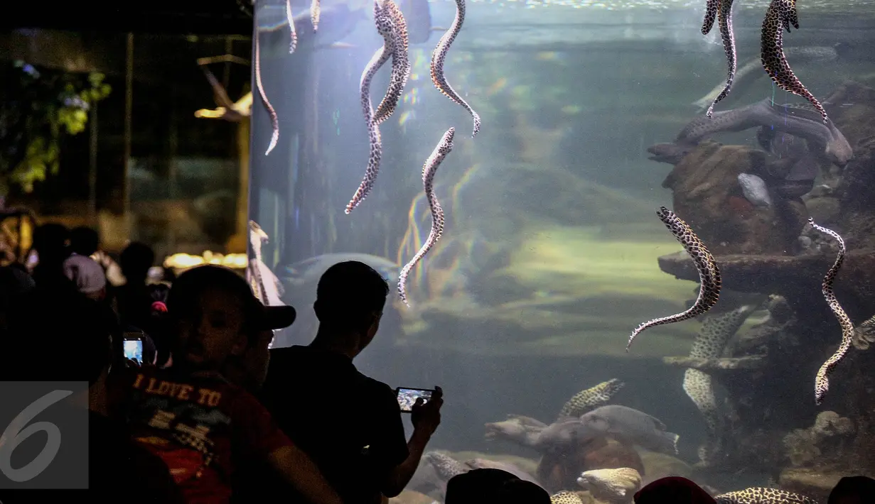  Pengunjung mengamati ikan di dalam akuarium di SeaWorld Ancol, Jakarta, Minggu (25/12). Seaworld menjadi tempat favorit pengunjung dalam liburan dikarenakan mereka bisa sambil belajar untuk putra-putrinya mengenal biota laut. (Liputan6.com/Faizal Fanani)