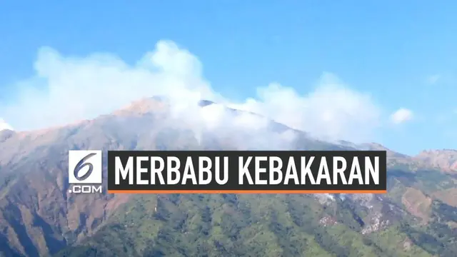 VIDEO: Gunung Merbabu Terbakar, Pendaki Dievakuasi