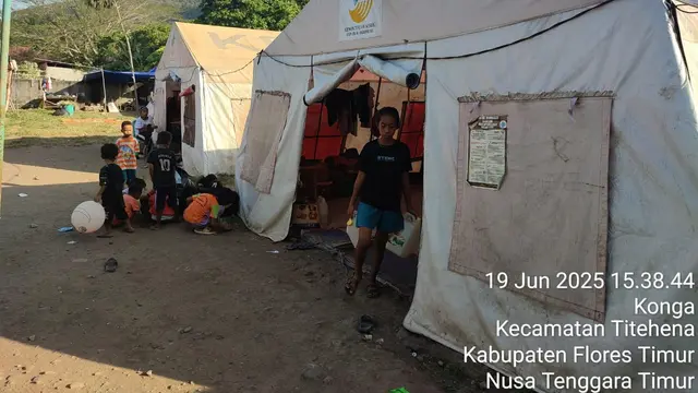 Pengungsi terdampak letusan Gunung Lewotobi