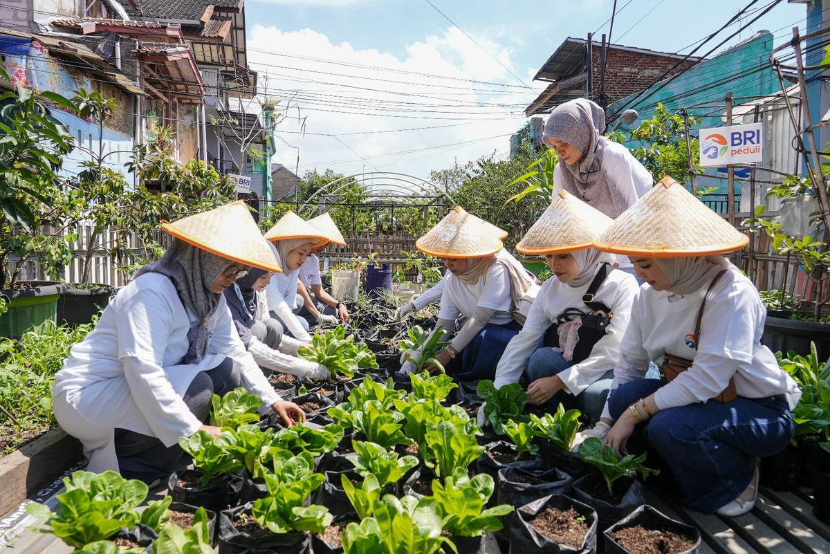 BRI Peduli Tegaskan Komitmen Dukung Ketahanan Pangan Melalui Panen Raya BRInita