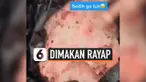 THUMBNAIL uang