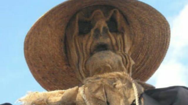 3. Apa Jadinya Jika Orang-orangan Sawah ini Kamu Lihat Malam Hari