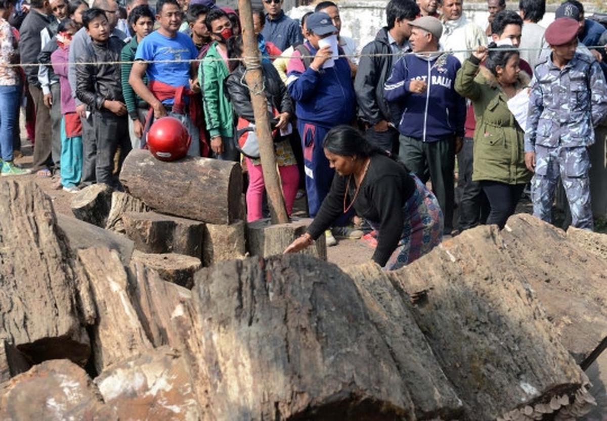 Krisis BBM, pemerintah Nepal jual kayu bakar
