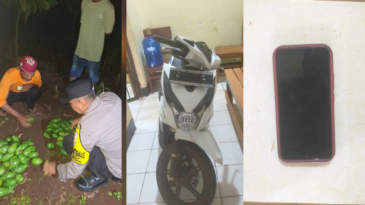 Barang bukti alpukat milik korban serta satu sepeda motor dan ponsel yang diduga milik terduga pelaku tertinggal di lokasi kejadian (Istimewa)