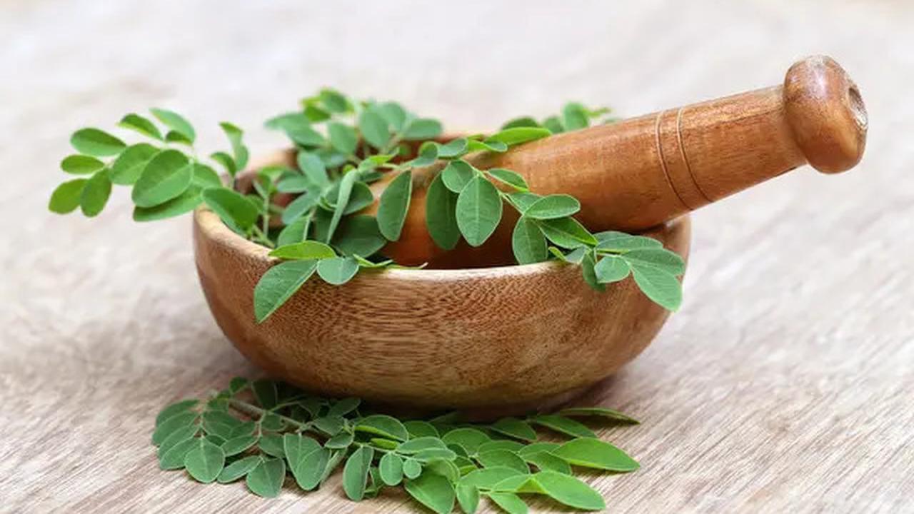 Bagaimana Cara Mengolah Daun Kelor untuk Asam Urat? Ini Langkah dan Manfaatnya