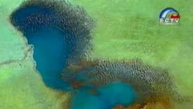 Chad, Danau Terluas di Afrika Menyurut - Global Liputan6.com