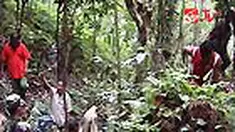 liputan6