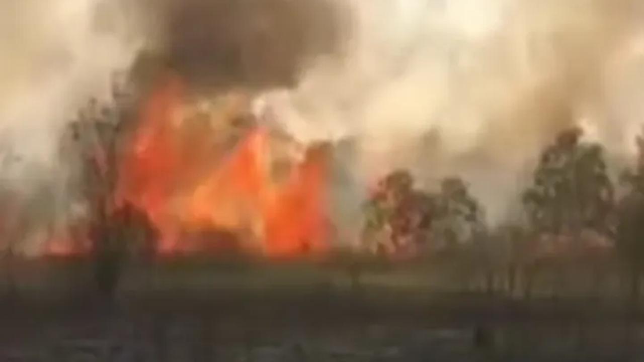 Menurut Ferdian, luasnya areal karhutla disebabkan lamanya masa kemarau yang terjadi. Terlebih adanya peningkatan suhu panas dan El Nino.