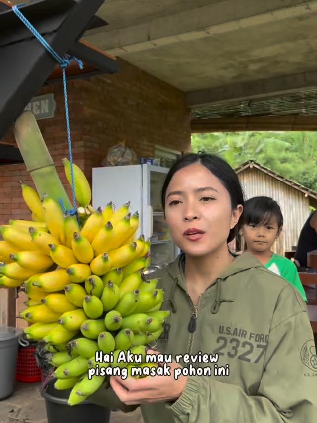 Dodit Mulyanto Bangun Rumah Jawa Kuno