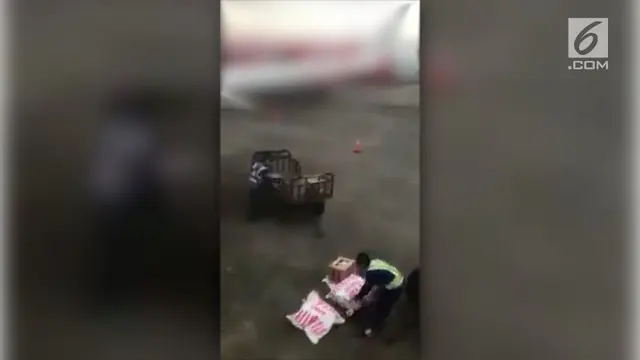 Seorang penumpang merekam tindakan tercela petugas kargo bandara. Mereka melempar begitu saja bagasi penumpang dari kendaraan pembawa ke aspal bandara.
