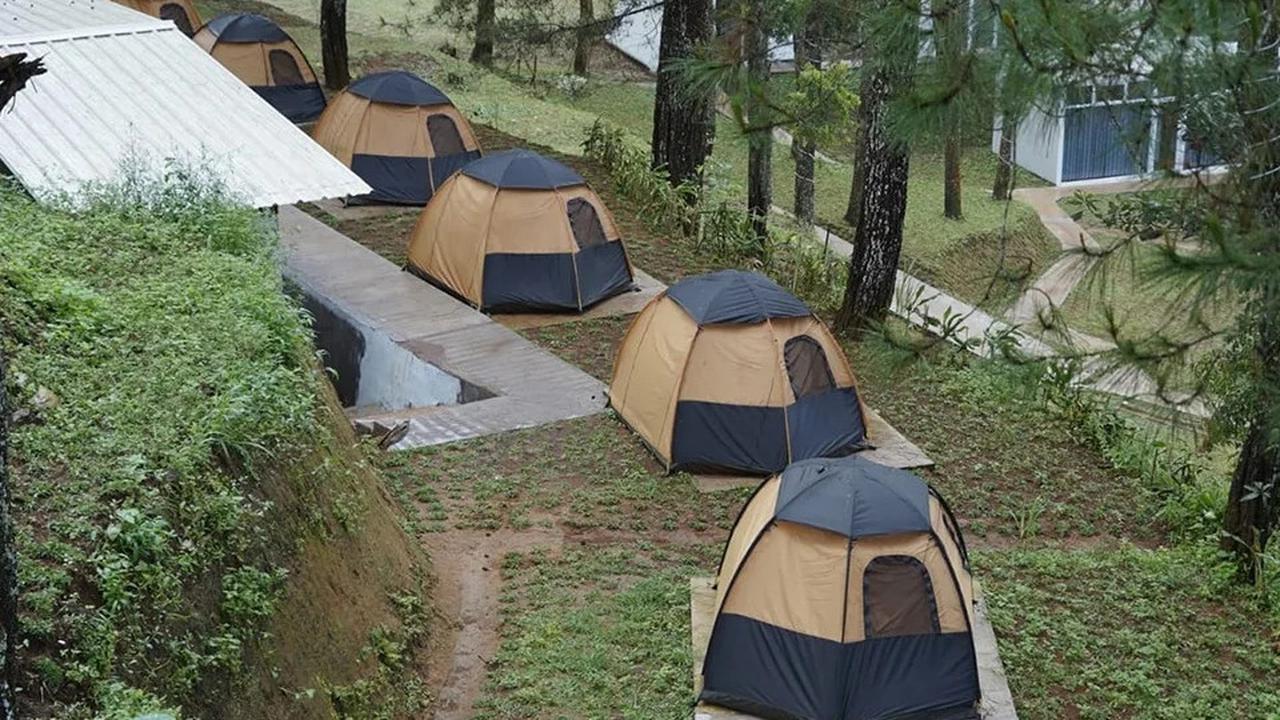 Potret Wisata Glamping Milik Kopassus, Suasananya Sejuk dan Nyaman