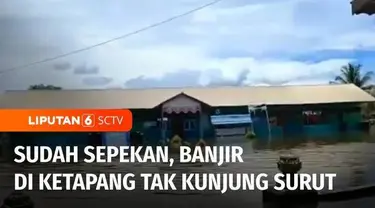 Sudah satu pekan banjir masih merendam delapan kecamatan di Kabupaten Ketapang, Kalimantan Barat. Akibatnya aktivitas lumpuh total dan warga kesulitan mendapat bahan makanan.