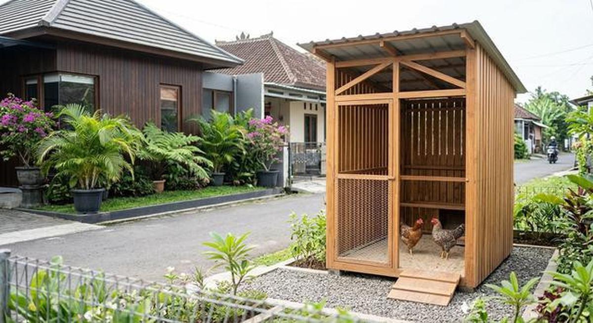8 Desain Kandang Ayam Sistem Ventilasi Silang Biar Tidak Pengap dan Bau