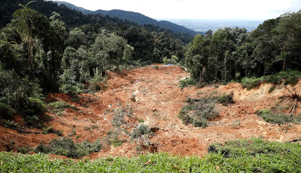 Lokasi tanah longsor di perkebunan organik, Batang Kali, Malaysia, Jumat (16/12/2022). Sebanyak 16 orang ditemukan tewas akibat bencana tanah longsor tersebut. (AP Photo/FL Wong)
