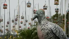 Ribuan burung dalam kandang saat mengikuti kontes burung berkicau di Provinsi Narathiwat di Thailand selatan (22/9/2019). Lebih dari 1.800 burung dari Thailand, Malaysia, dan Singapura mengambil bagian dalam kontes tahunan. (AFP Photo/Madaree Tohlala)