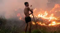 Namun, melarang masyarakat membakar lahan ternyata bukan perkara sederhana. Sebab, praktik membuka lahan dengan cara membakarnya merupakan kebiasaan yang turun-temurun. Hal ini pernah disampaikan oleh Bupati Ogan Ilir, Panca Wijaya Akbar. (Al ZULKIFLI/AFP)
