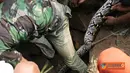 Citizen6, Bogor: Rahmat (40) warga Kabandungan 1, Desa Sirnagalih, Bogor, menemukan seekor ular sanca sepanjang lima meter di dekat rumahnya pada, Rabu (22/6). (Pengirim: Tri Iswanto)