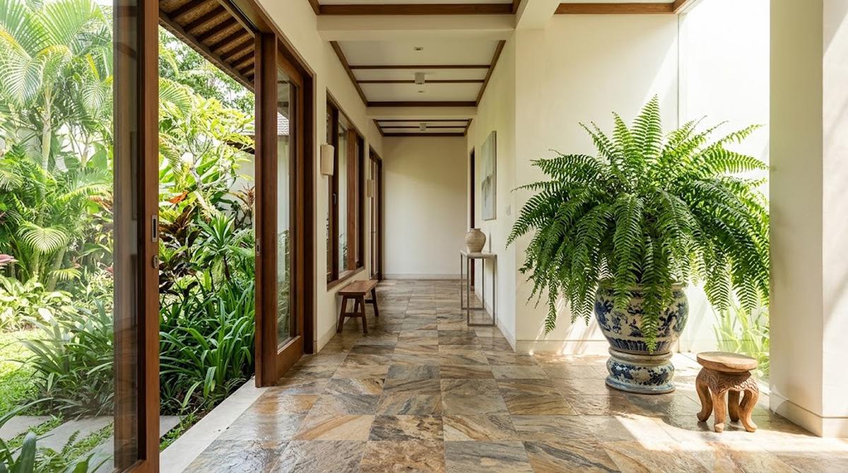 Inspirasi Kebun Pakis Hias untuk Lorong Rumah