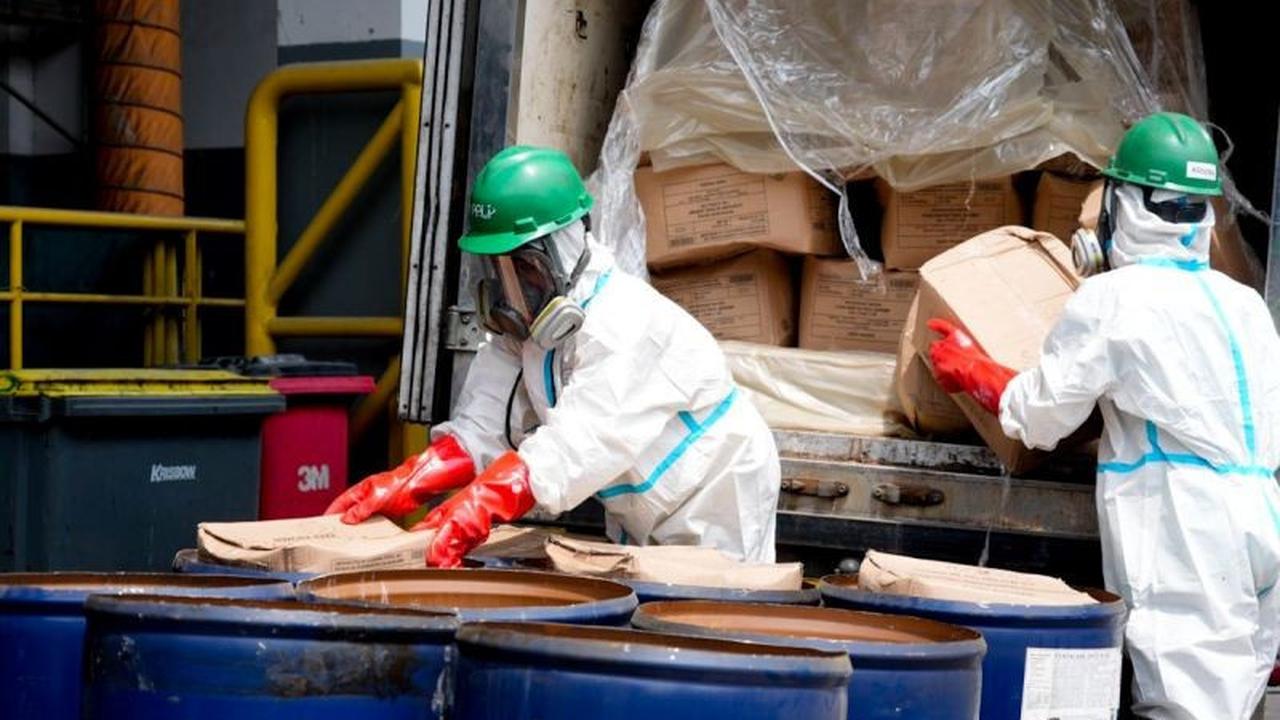 Barantin Musnahkan 5,7 Ton Udang Terkontaminasi Cesium-137 Demi Keamanan Pangan Nasional