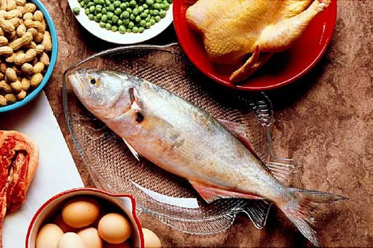5 Sumber Protein Terbaik yang Mendukung Kesuksesan Dietmu