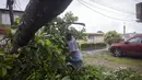 Seorang pria menggunakan parang untuk menebang pohon yang tumbang akibat angin topan Fiona di Loiza, Puerto Rico, Senin, 19 September 2022. (AP Photo/Alejandro Granadillo)
