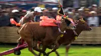 Seorang joki memacu sepasang sapi kerapan, saat Festival Kerapan Sapi Piala Presiden 2010 di Stadion R Sunarto Hadiwijoyo Pamekasan Madura. (Antara)