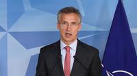 Sekjen NATO Jens Stoltenberg (The Guardian)