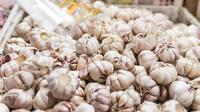 Ilustrasi bawang putih. (Photo by Artem Beliaikin on Unsplash)