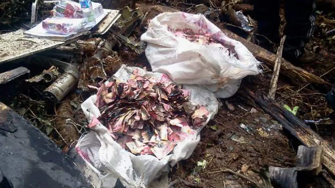 20150818-Pesawat Hancur, Uang Rp 6,5 M di Trigana Air Ditemukan Hangus-Papua