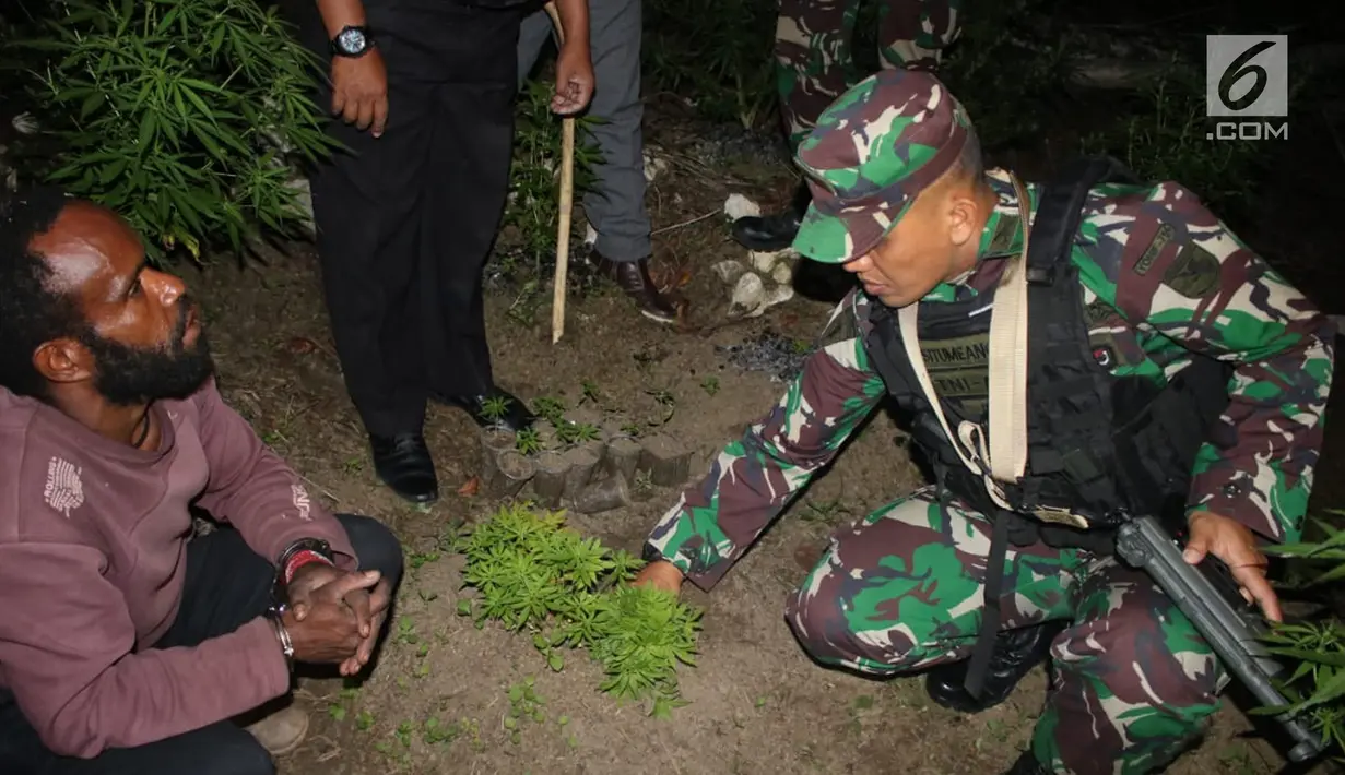 Danyonif Raider 756 Mayor Inf Arif Budi Situmeang menunjukkan pelaku pengedar ganja  Apianus Logo dan barang bukti di jalan lintas Wamena-Karubaga-Puncak Jaya di Kampung Kurulu, Papua, Jumat (3/8). (Liputan6.com/HO/Dispenad)