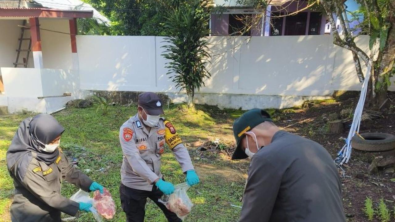 Fakta Unik: 100 Kg Daging Babi Tanpa Dokumen Dimusnahkan Karantina Maluku Utara Demi Cegah PMK