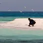 Instruktur selam Arab Saudi, Nouf Alosaimi memfilmkan kehidupan alami di sebuah pulau berpasir di Laut Merah, dekat King Abdullah Economic City. Arab Saudi saat ini sedang mengembangkan industri pariwisata. (AP Photo/Amr Nabil)