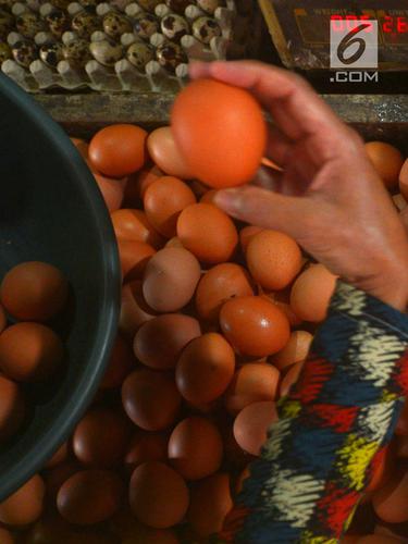 Harga Telur Ayam Mulai Merangkak Turun di Pasar Minggu