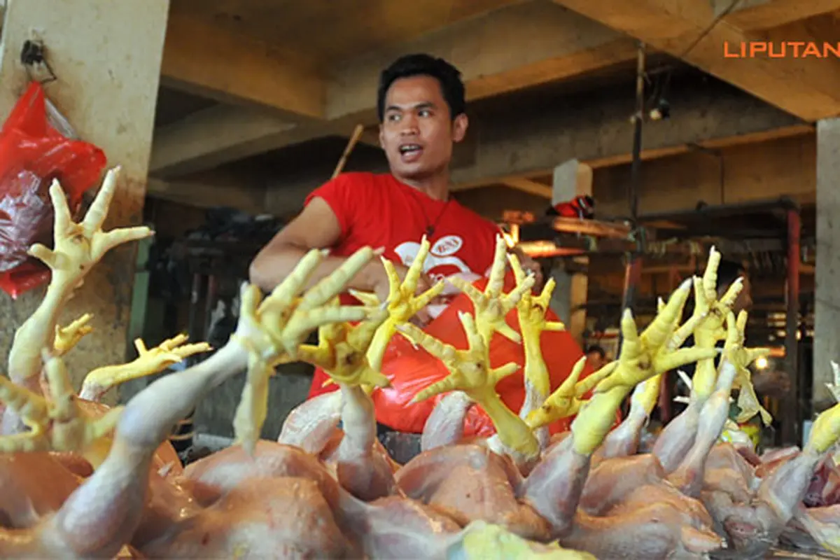 ayam-arabi-130625-b.jpg