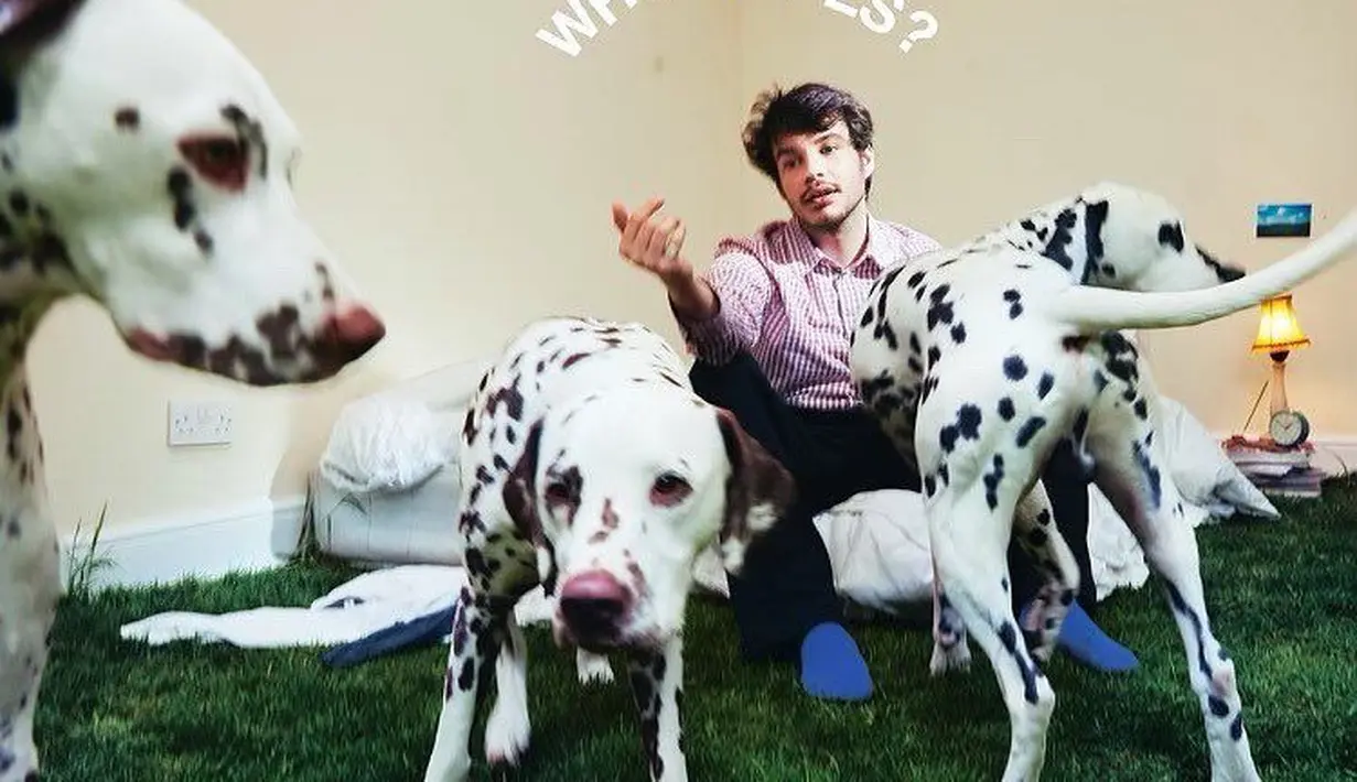 Poster Album 'Who Cares?' Rex Orange County (twitter.com/rexorangecounty)