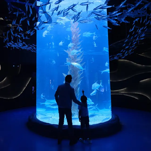 Libur Lebaran dengan Staycation dan Jalan-Jalan Seru Bersama Keluarga