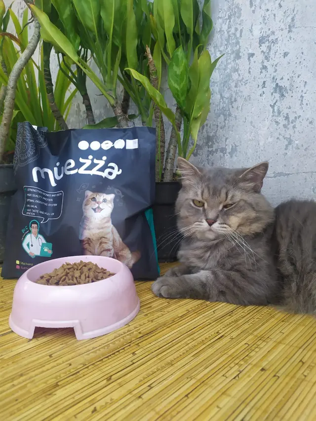 Kenapa Kuku Kucing Harus Dipotong?