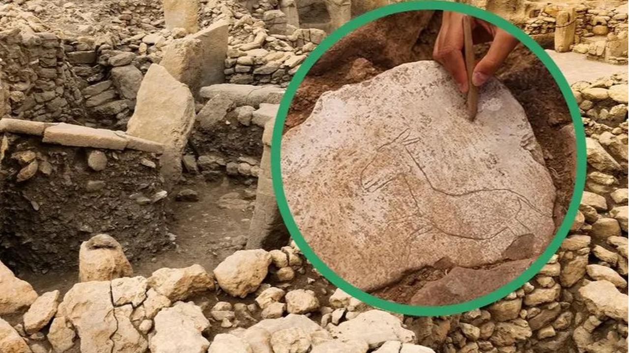 Arkeolog Temukan Pahatan Bergambar Keledai di Lantai Rumah Berusia 13.000 Tahun, Ada Makna Tersembunyi di Baliknya