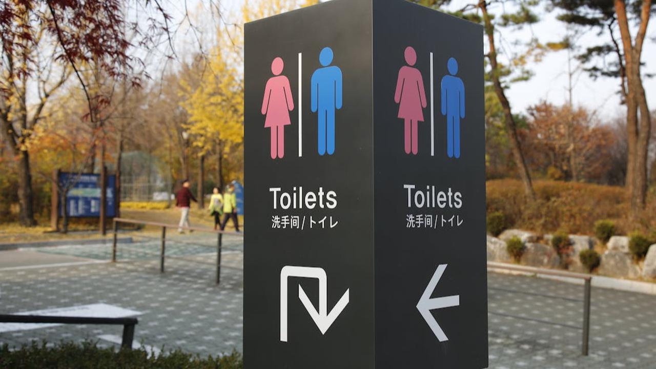 8 Toilet Unik di Seluruh Dunia, dari yang Futuristik sampai yang Instagramable Banget Bikin Betah di Toilet