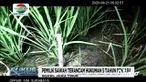 Warga Desa Sidorejo, Kabupaten Ngawi, Jawa Timur yang berusia 24 tahun, meninggal akibat tersengat listrik jebakan tikus di sawah. Polisi kemudian melakukan olah TKP, dan pemilik sawah dibawa ke kantor polisi untuk diperiksa. Pemilik dikenai pasal 35...