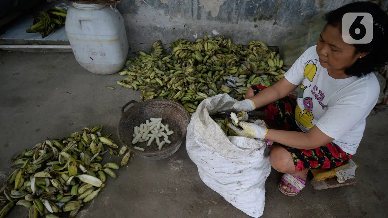 Home Industri Keripik Pisang